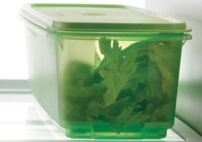 Tupperware Fresquita 4,5 lt 