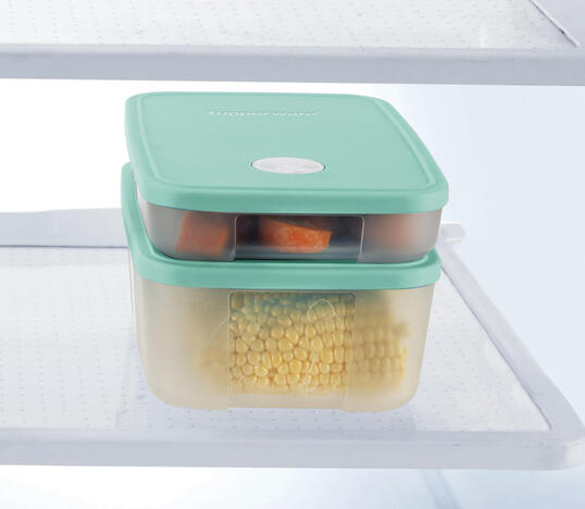 Tupperware Freezer Time 