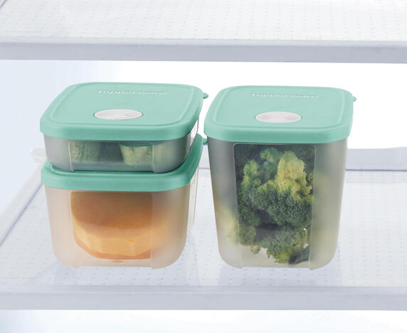 Tupperware Freezer Time 