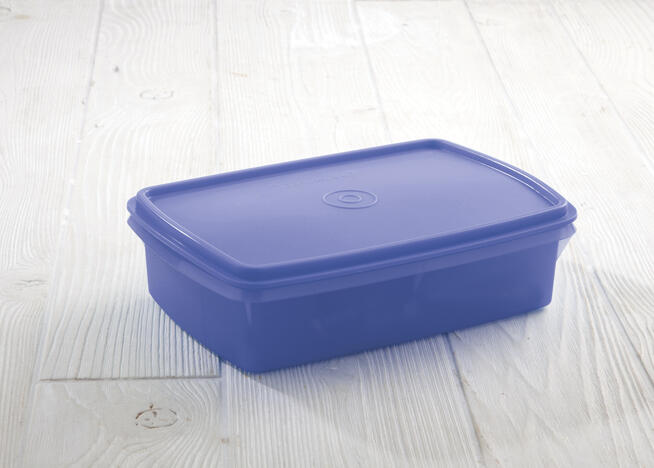 Tupperware Caja Organizadora Con Divisiones 