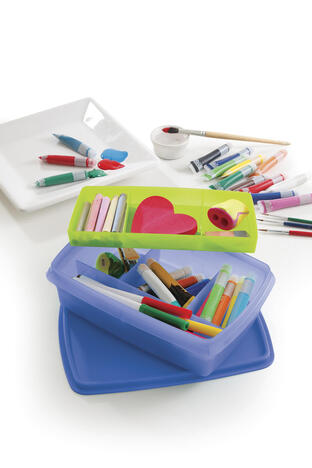 Tupperware Caja Organizadora Con Divisiones 