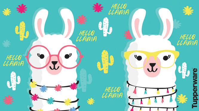 Tupperware Set Hello Llama 