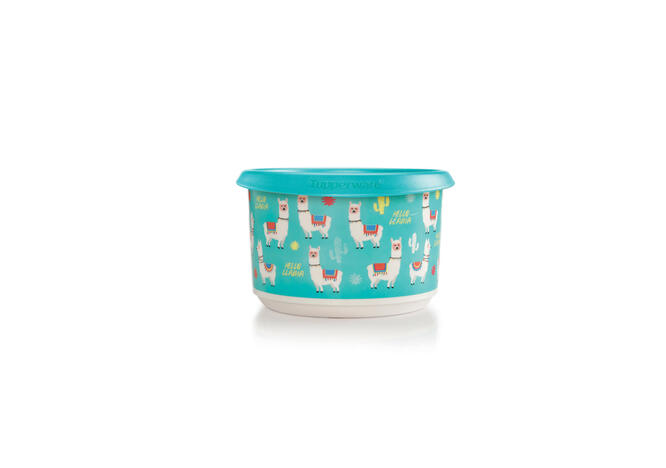 Tupperware Set Hello Llama 