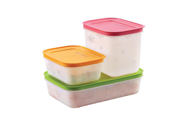 Tupperware Practifreezee Frozen 