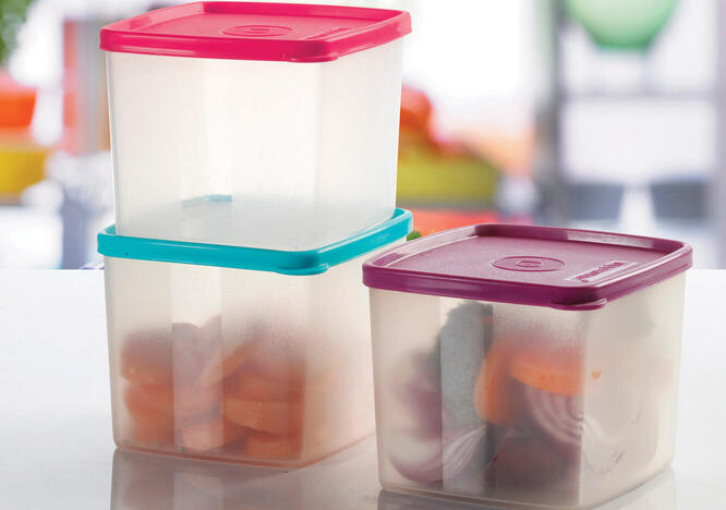 Tupperware Practi Refri 