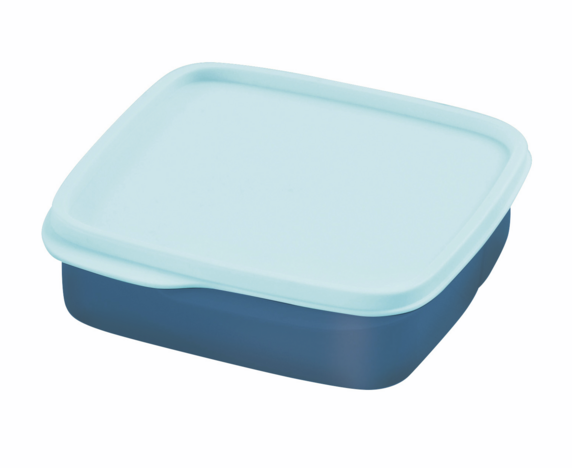 Tupperware Porta Vianda Cuadrado con Divisiones 550 ml 