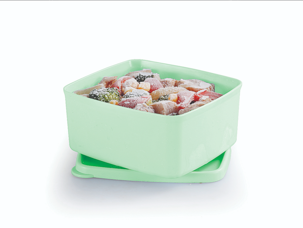 Tupperware Practifreezee  500ml 
