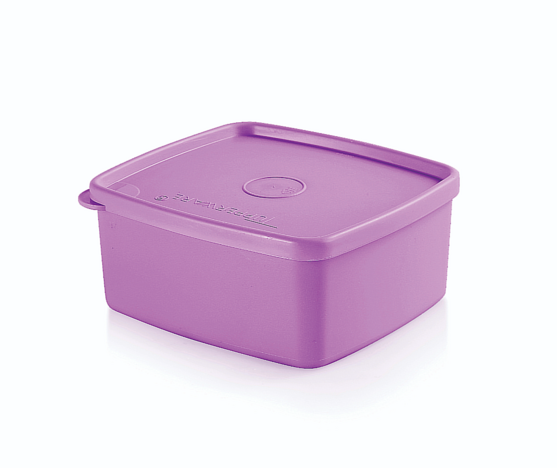 Tupperware Practifreezee  500ml 